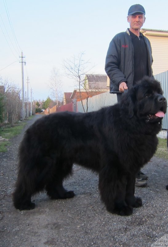 Фотография № 123745