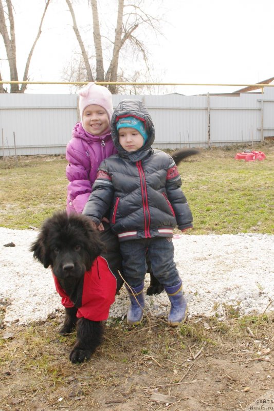 Фотография № 123746