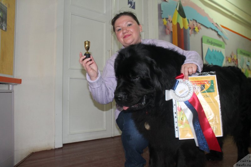 Фото: ньюфаундленд Omar SHerif (Омар Шериф), Lyudmila Ovsyannikova (Людмила Овсянникова)