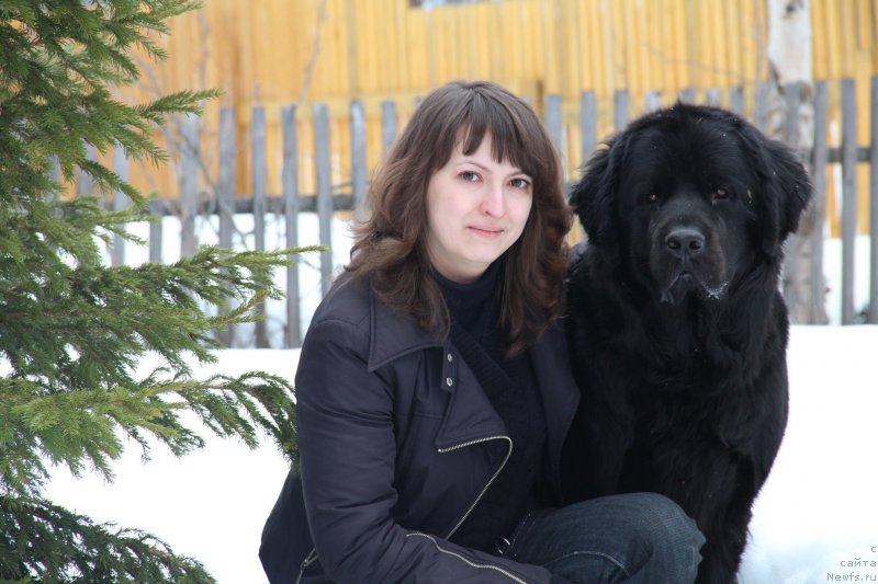 Фото: ньюфаундленд Uyutnaya Dolina Black Diamond Velinda (Уютная Долина Блэк Даймонд Велинда), Ekaterina Dmitrieva (Екатерина Дмитриева)