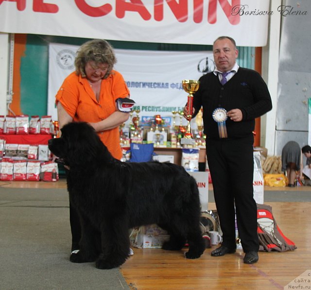 Фотография № 123907