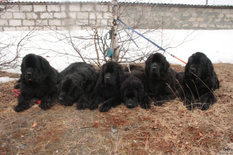 Фотография № 123918