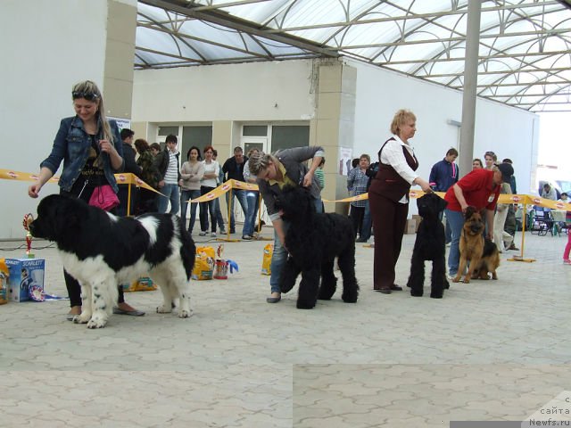 Фотография № 123966