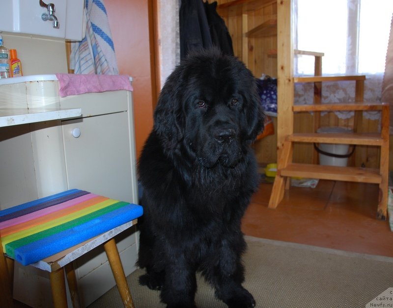 Фотография № 124051