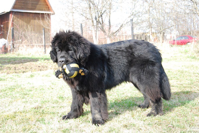 Фотография № 124053