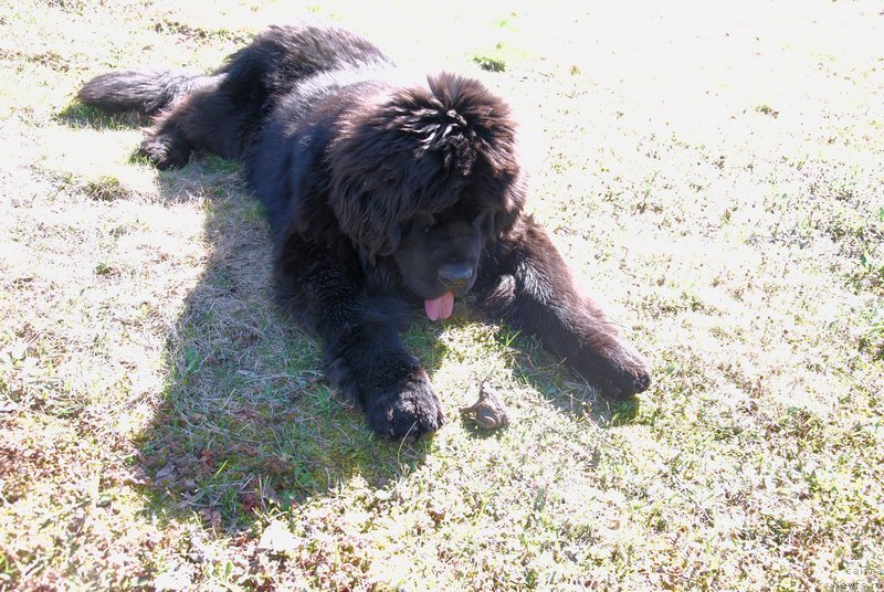 Фотография № 124054