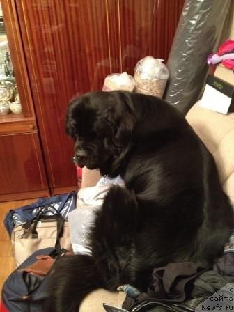 Фотография № 124097