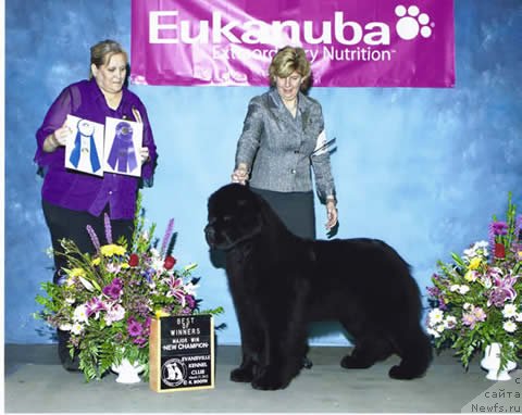 Фотография № 124162