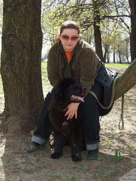 Фото: ньюфаундленд Sent Djons Otrada (Сент Джонс Отрада), Ekaterina Rudakova (Екатерина Рудакова)