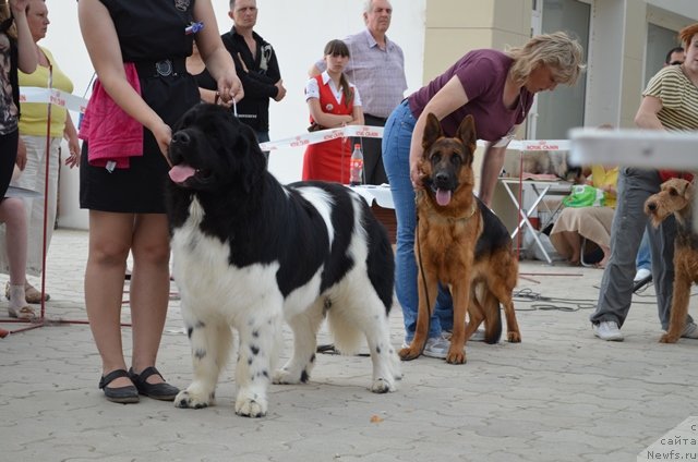 Фотография № 124228