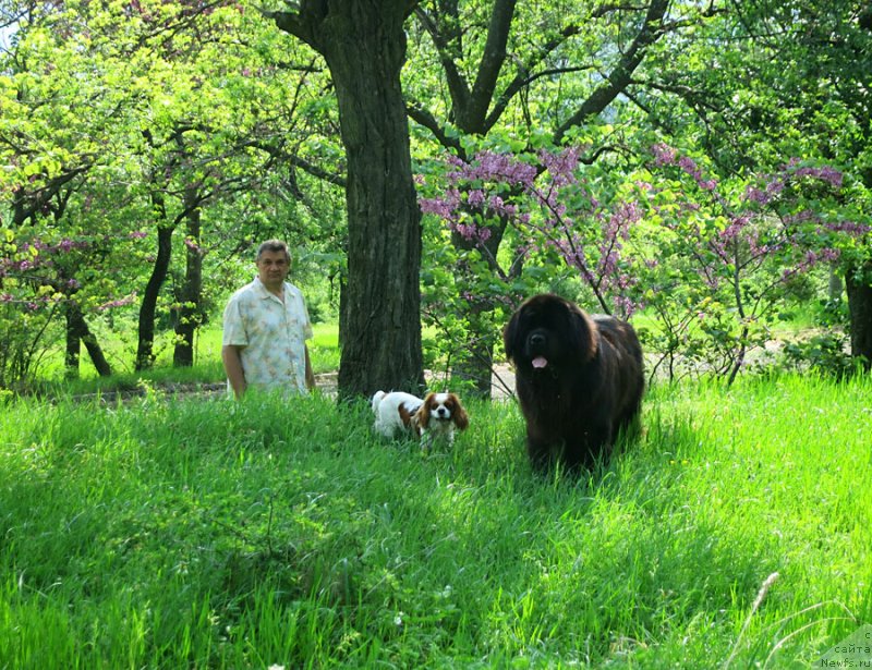 Фотография № 124229