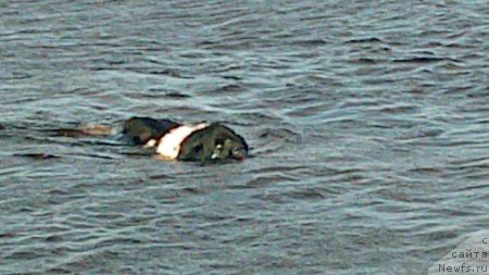 Фотография № 124231