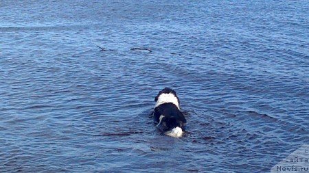 Фотография № 124235