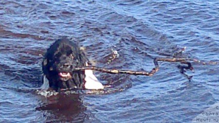 Фотография № 124238