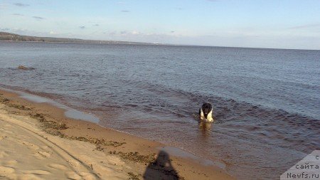 Фотография № 124239