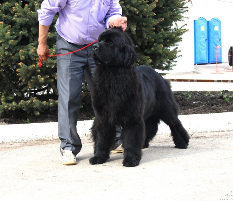 Фотография № 124241