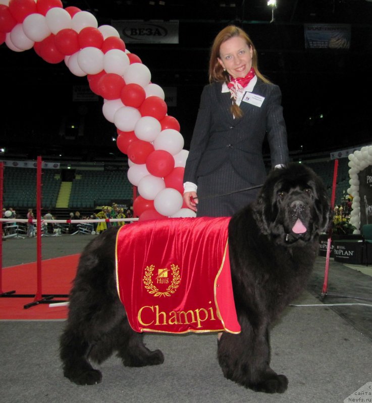 Фотография № 124248