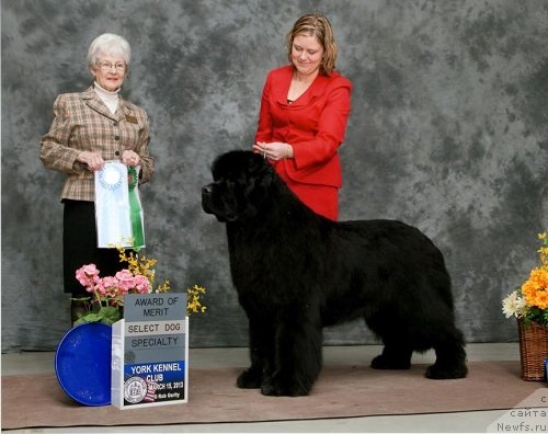 Фотография № 124274