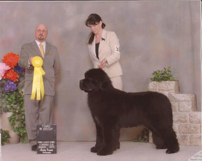 Фотография № 124275