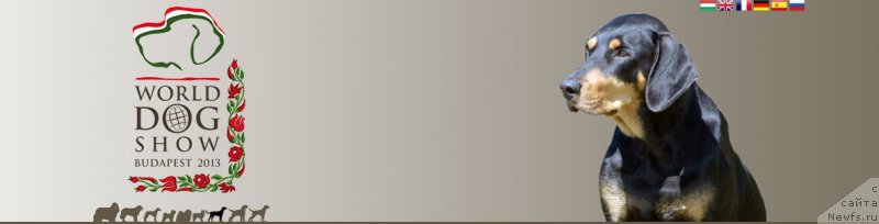 Фотография № 124284