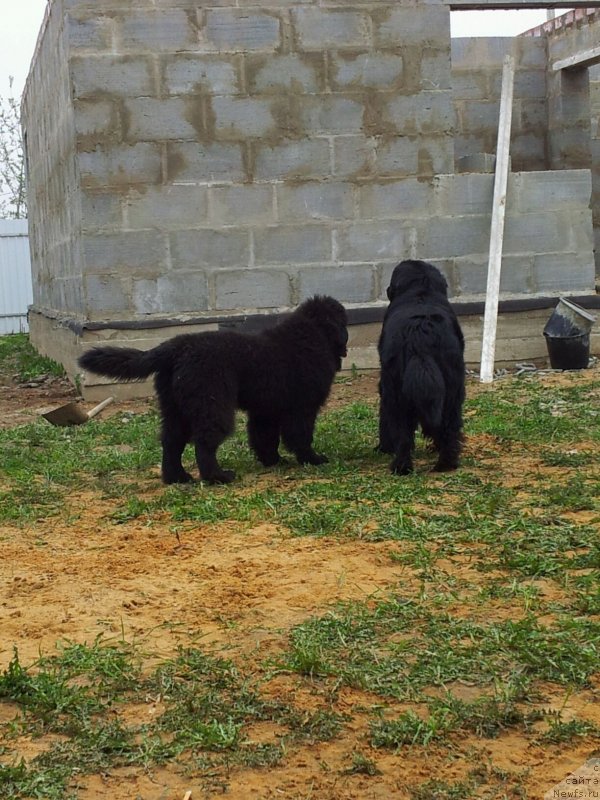 Фотография № 124291