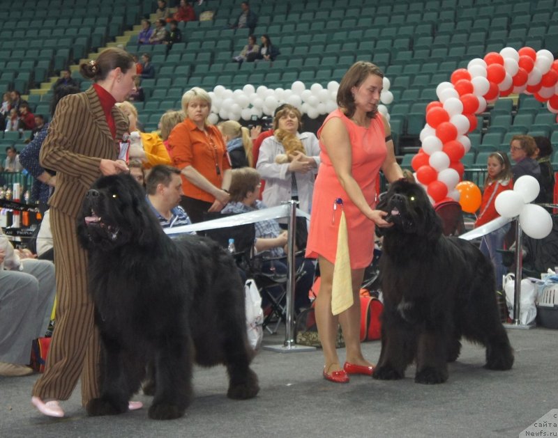 Фотография № 124331