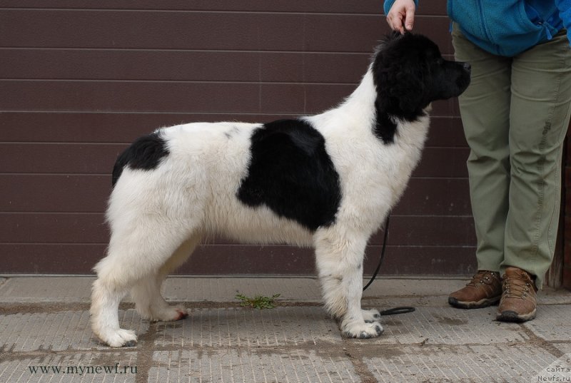 Фотография № 124342