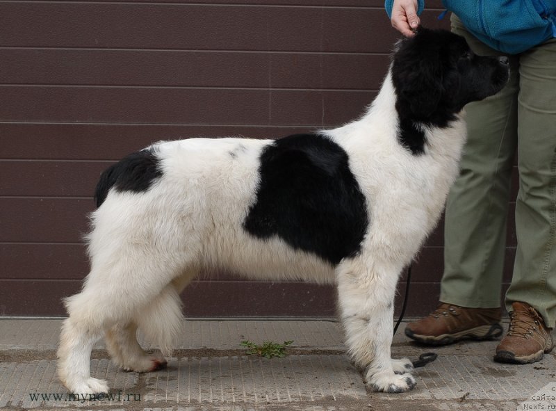 Фотография № 124343