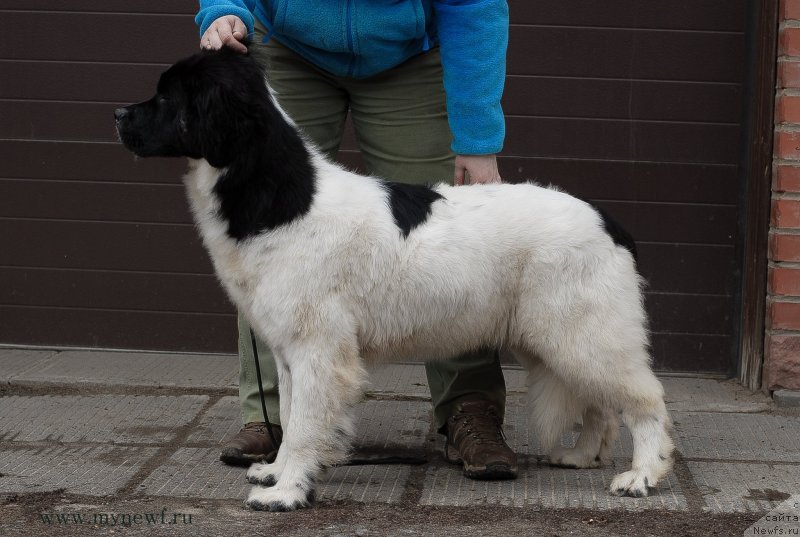 Фотография № 124344