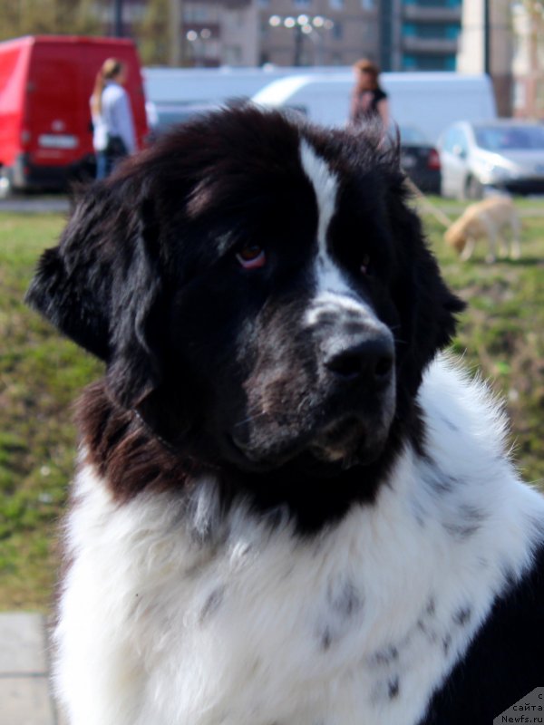 Фотография № 124374