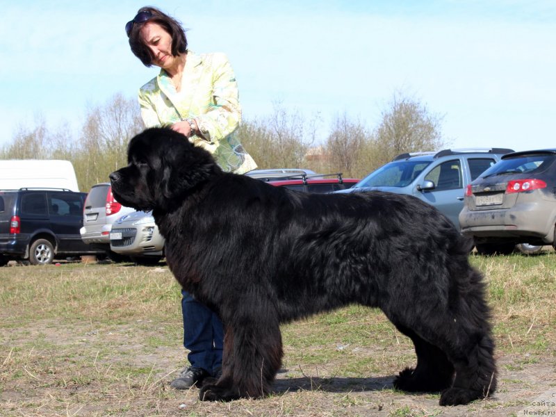 Фотография № 124376