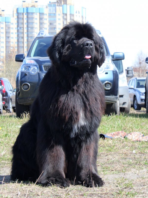 Фотография № 124379