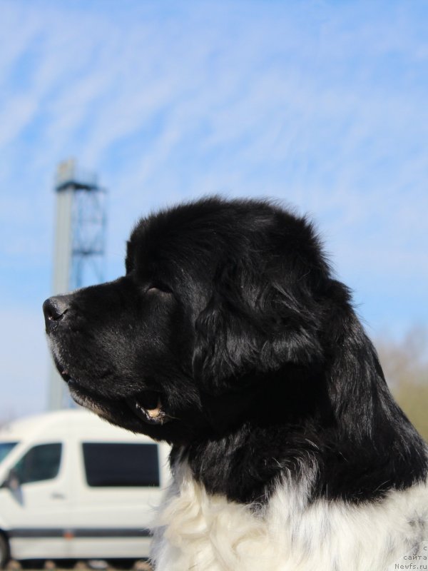 Фотография № 124385