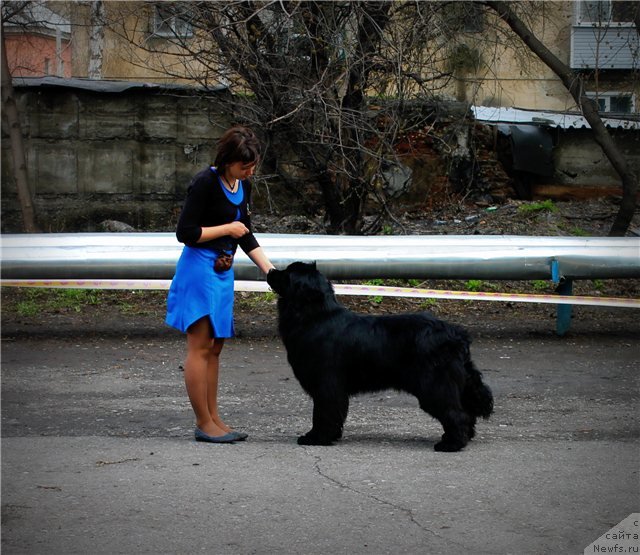 Фотография № 124389