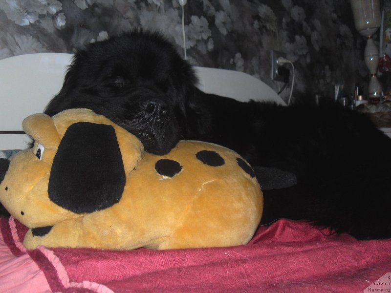 Фотография № 124404