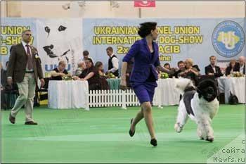 Фотография № 124482