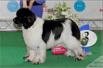 Фотография № 124483