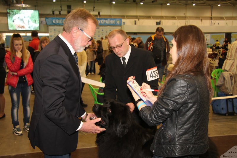 Фотография № 124487