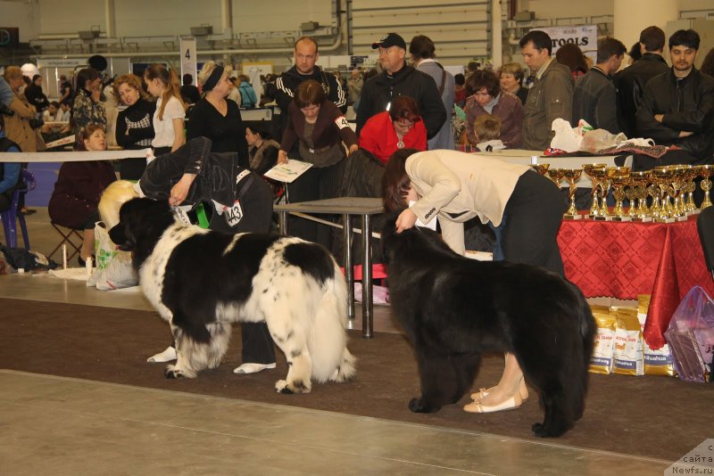 Фотография № 124491