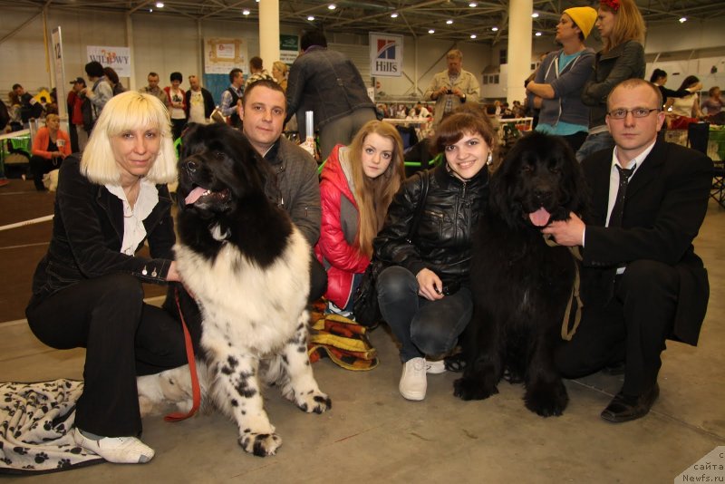 Фотография № 124495