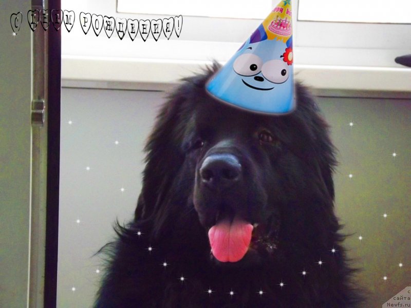 Фотография № 124556