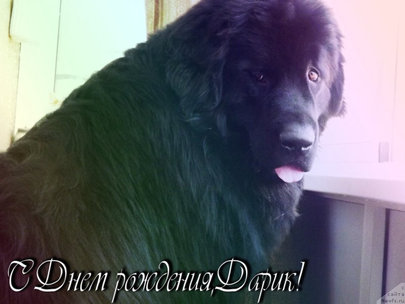 Фотография № 124557