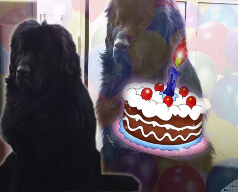 Фотография № 124558