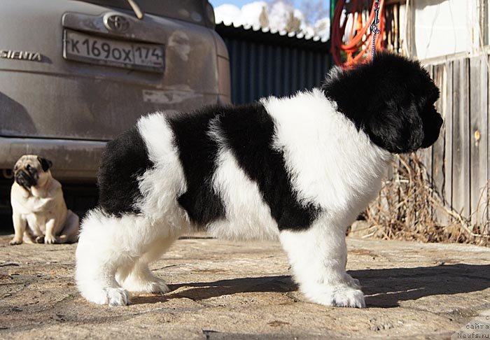 Фотография № 124607