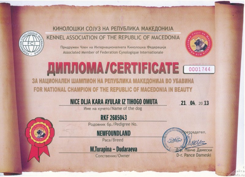 Фотография № 124656