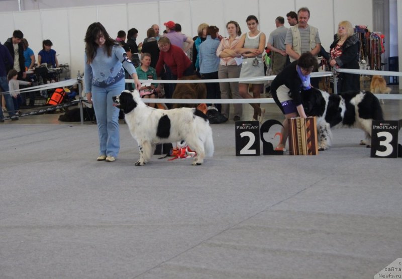 Фотография № 124697