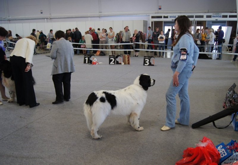 Фотография № 124698