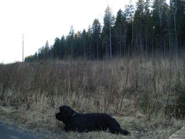 Фотография № 12470