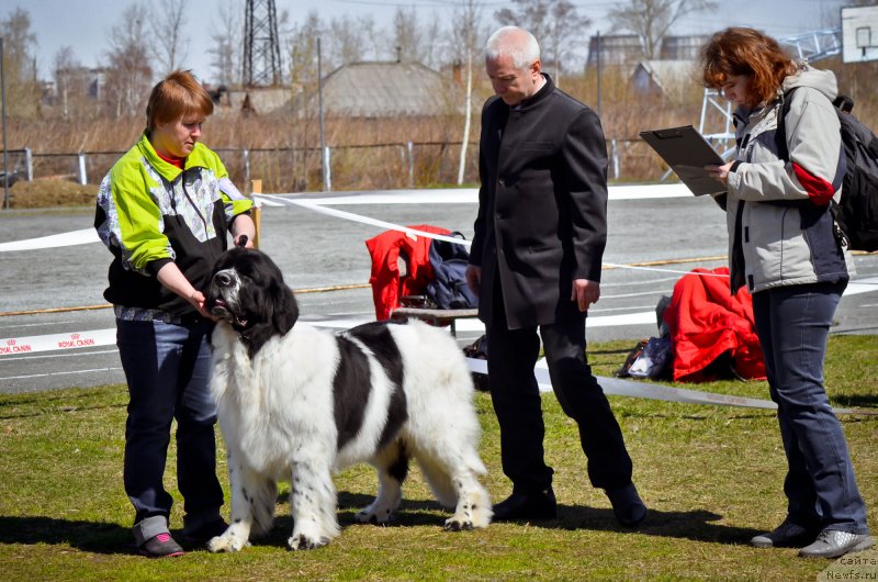 Фотография № 124708