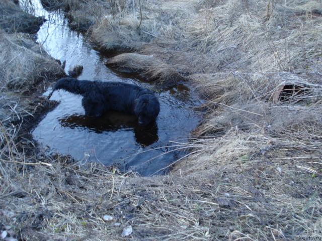 Фотография № 12472